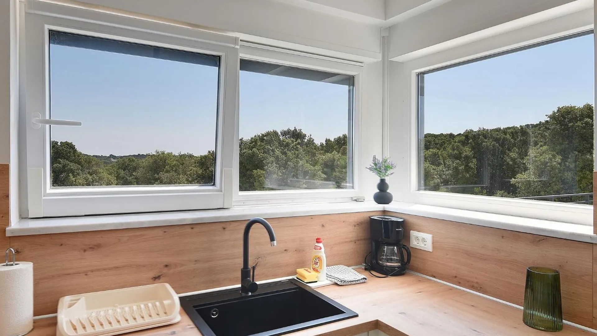 Modern Apartment With Large Covered Terrace بولا 0*,  كرواتيا